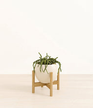 Load image into Gallery viewer, Shiny EggWhite stand:bamboo
