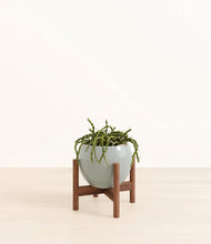 Load image into Gallery viewer, Deep Ocean stand:walnut
