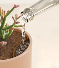 Load image into Gallery viewer, Glossy Pink stand:all
