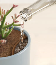 Load image into Gallery viewer, Misty Blue stand:all
