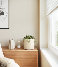 Load image into Gallery viewer, Cream
