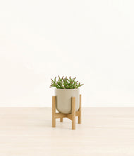 Load image into Gallery viewer, Sage Green stand:bamboo
