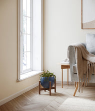 Load image into Gallery viewer, Deep Navy stand:walnut
