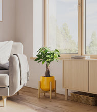 Load image into Gallery viewer, Mustard stand:bamboo
