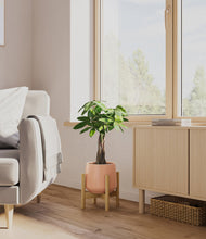 Load image into Gallery viewer, Calm Rose stand:bamboo
