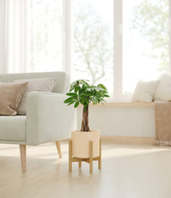 Load image into Gallery viewer, Cream stand:bamboo
