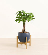 Load image into Gallery viewer, Deep Navy stand:bamboo
