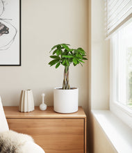 Load image into Gallery viewer, White
