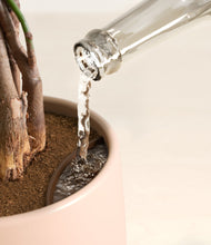 Load image into Gallery viewer, Gentle Pink stand:all
