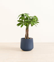 Load image into Gallery viewer, Deep Navy*****Profile
