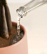 Load image into Gallery viewer, Evening Sky stand:all
