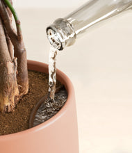 Load image into Gallery viewer, Calm Rose stand:all
