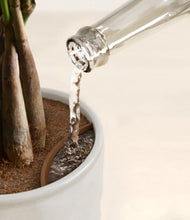 Load image into Gallery viewer, Ivory Peaks
