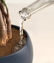 Load image into Gallery viewer, Deep Navy stand:all
