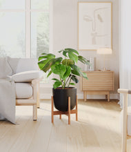 Load image into Gallery viewer, Stone Black stand:bamboo
