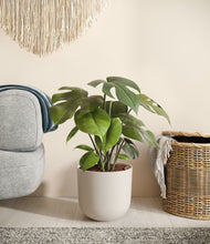 Load image into Gallery viewer, Natural Bamboo
