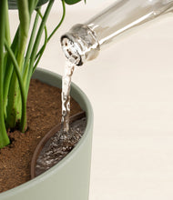 Load image into Gallery viewer, Sage Green stand:all
