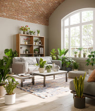 Load image into Gallery viewer, Countryside
