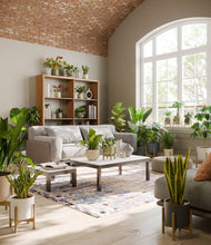 Load image into Gallery viewer, Countryside stand:thirteen_stands
