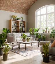 Load image into Gallery viewer, Winding River
