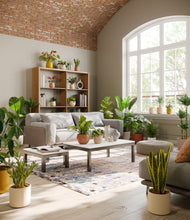 Load image into Gallery viewer, Evening Sky
