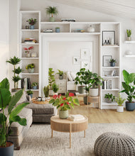 Load image into Gallery viewer, Patina
