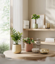 Load image into Gallery viewer, Lily Pad
