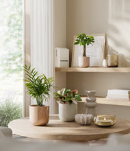 Load image into Gallery viewer, Peach Blossom
