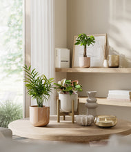 Load image into Gallery viewer, Peach Blossom stand:one_stand
