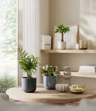 Load image into Gallery viewer, Pebble Shore
