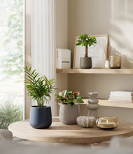 Load image into Gallery viewer, Winding River
