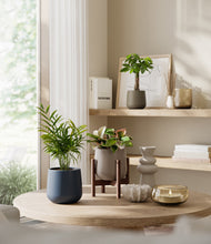 Load image into Gallery viewer, Winding River stand:one_stand
