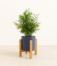 Load image into Gallery viewer, Deep Navy stand:light
