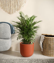 Load image into Gallery viewer, Earth Red
