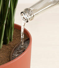 Load image into Gallery viewer, Earth Red stand:all
