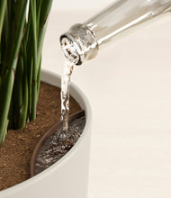 Load image into Gallery viewer, Natural Bamboo stand:all
