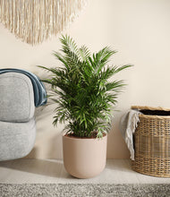 Load image into Gallery viewer, Sandy Pink
