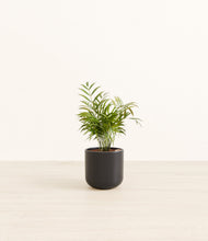 Load image into Gallery viewer, Stone Black*****Profile
