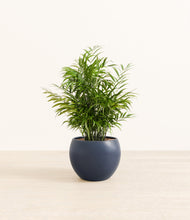 Load image into Gallery viewer, Deep Navy*****Profile
