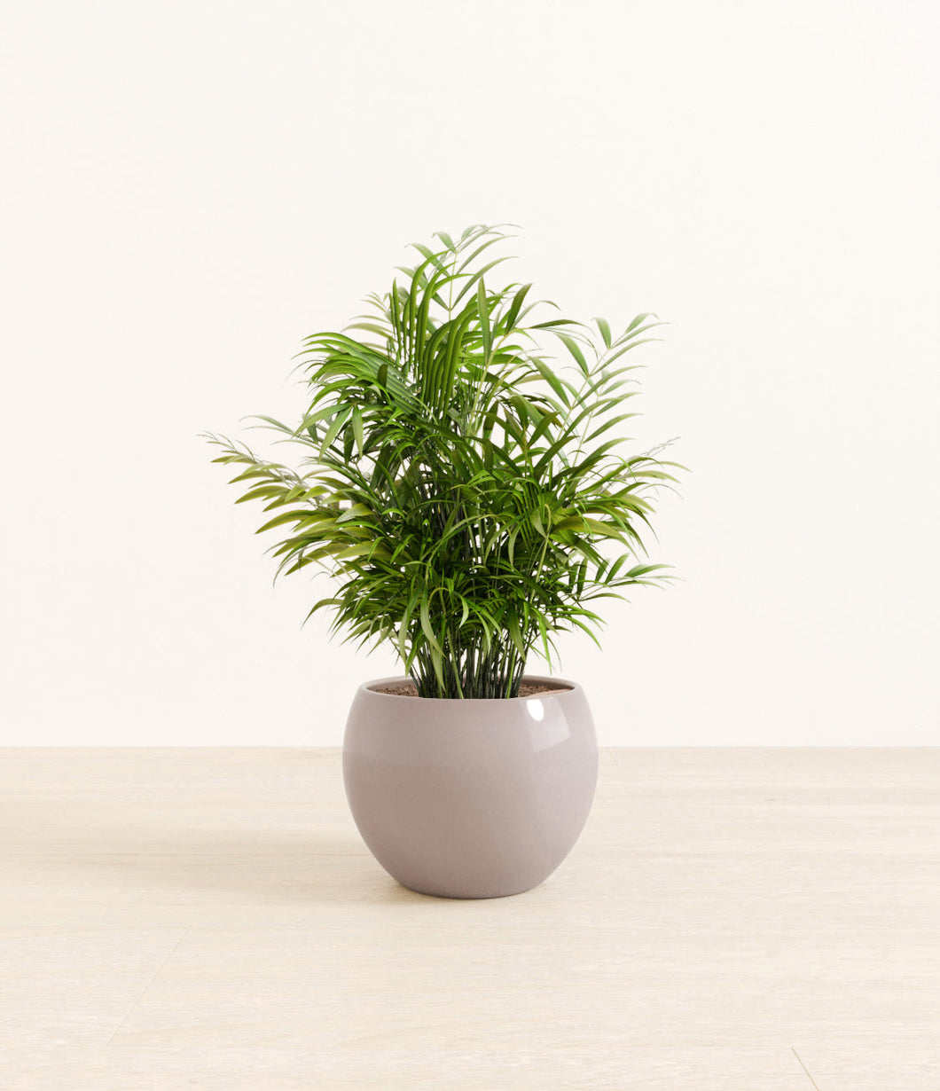 Winter Clouds*****Profile