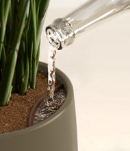 Load image into Gallery viewer, Olive stand:all
