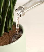 Load image into Gallery viewer, Winding River
