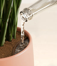 Load image into Gallery viewer, Calm Rose stand:all
