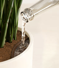 Load image into Gallery viewer, Cream stand:all
