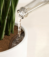 Load image into Gallery viewer, Liberty Hues
