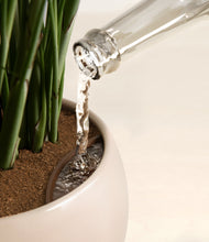 Load image into Gallery viewer, Desert Brown stand:all
