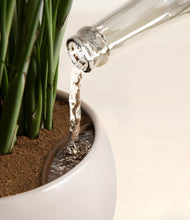 Load image into Gallery viewer, Winter Clouds stand:all
