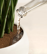 Load image into Gallery viewer, Shiny EggWhite stand:all
