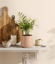 Load image into Gallery viewer, Gentle Pink
