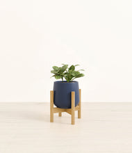 Load image into Gallery viewer, Deep Navy stand:bamboo

